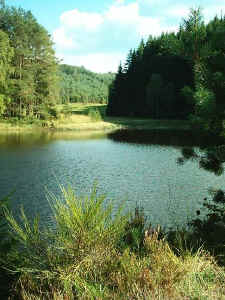Der vierte St�denbachweiher