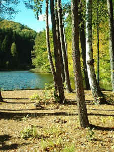 Am M�mmelsee im Saarbachtal