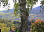Ausblick vom Annahof