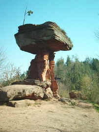 Kaltenbacher Teufelstisch 1