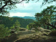 Auf dem Sprinzel (Dickenbergturm)