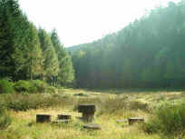 Im Freischbachtal