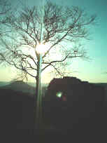 Abend auf der Burgruine Lindelbrunn