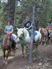 Reiten im Wald