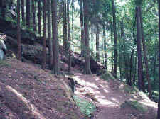 Im S�dteil des Rodalber Felsenweges
