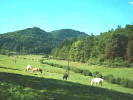 Im Modenbachtal
