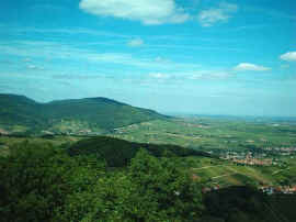 Von der Burgruine Neukastell nach Norden