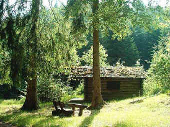 Schutzhütte im Schwarzbachtal bei Leimen, Naturspaziergang 31