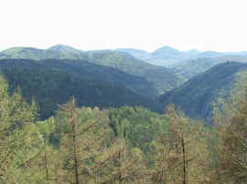Vom Kirschfelsturm ins Trifelsland