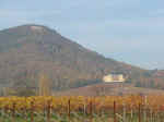 Deutsche Weinstra�e - Villa Ludwigsh�he und Rietburg