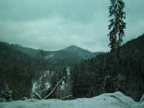 Hochwinter im zentralen Pf�lzerwald