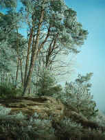 Winter auf dem Eulenfels bei Eppenbrunn