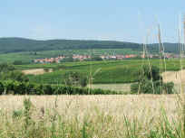 Beginn in den Weinbergen bei Schweigen