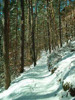 Pfade k�nnen ein winterlicher Hochgenuss sein