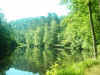 Rohrwoog.JPG (825493 Byte)
