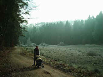 Mit dem Kinderwagen im W�steichelsbachtal