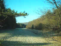 Im Rodalbtal