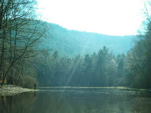 Am Brauntalweiher