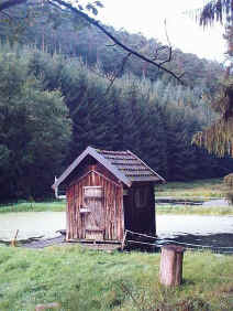 Forellenweiher im Freischbachtal