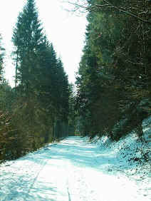 Im Storrbachtal
