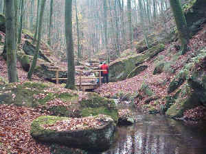 In der Karlstalschlucht 1