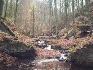 In der Karlstalschlucht 2