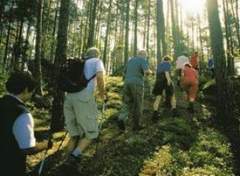 Nordic Walking - Fitness als Gruppenerlebnis