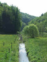 Im Felsalbtal