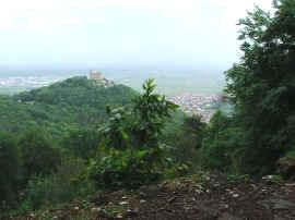 Das Hambacher Schloss vom Shnekreuz