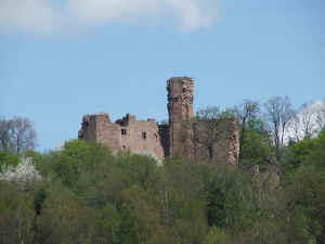 Burgruine Hohenecken