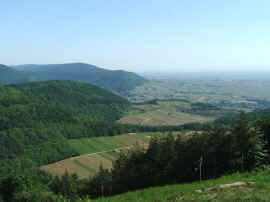 Vom Fhrlenberg ber die Weinstrae
