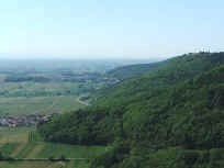 Von der Burgruine Neukastell über die Südliche Weinstraße