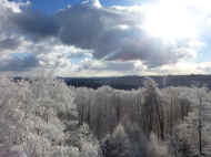 Blick vom Eschkopfturm in den s�dlichen Pf�lzerwald.JPG (212108 Byte)