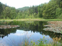 Kranzwoog