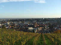 Blick ber Neustadt in die Rheinebene