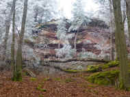 Rotenfels.JPG (127042 Byte)