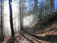 Unweit der Wegelnburg.JPG (121430 Byte)