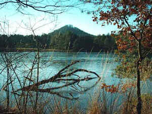 Winter am Pflzerwoog