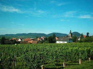 Weinberge bei Frankweiler