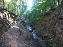 In der Elendsklamm