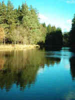 Im Schlettenbacher Tal bei Fischbach