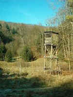 Hochsitz im Rodalbtal