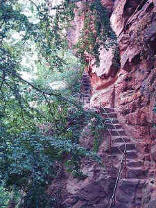 Treppenaufgang am Wasigenstein